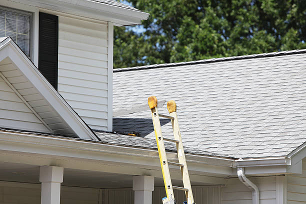 Best Shed Removal  in Westhampton, NY